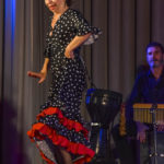 431 foto saggio spaziomemo 2017